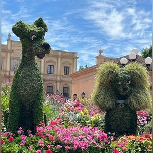 Meet your Posher, Mama